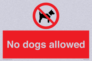 No dogs allowed